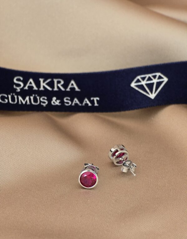 Yuvarlak Pembe Taşlı Minimal Gümüş Küpe